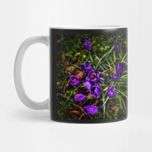 Crocus Flowers Mug
